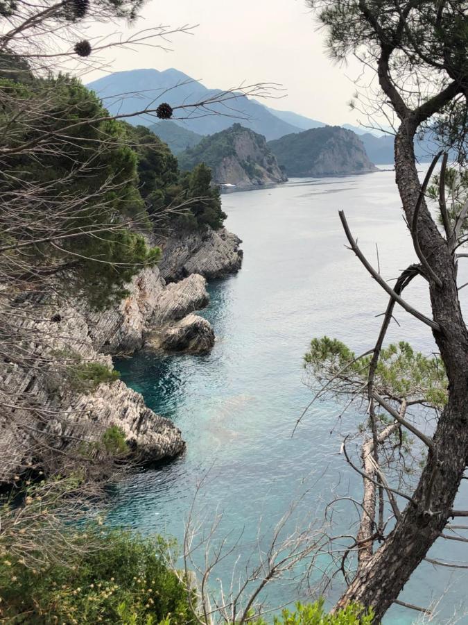 Villa Lime Petrovac エクステリア 写真